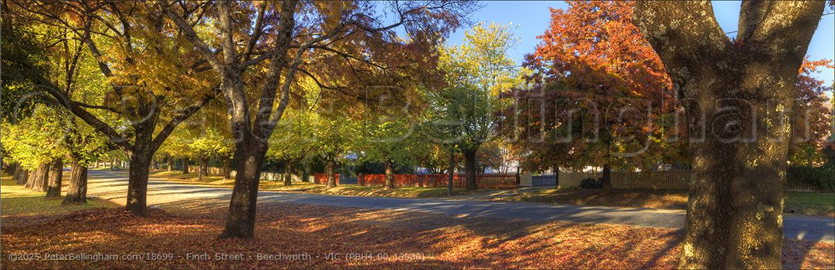 Peter Bellingham Photography Finch Street - Beechworth - VIC (PBH4 00 13930)